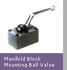 Manifold_Block_Mounting_Ball_Valve